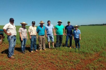 EMATER, SMA e agricultor conhecem produção de Alfafa em São Luiz Gonzaga