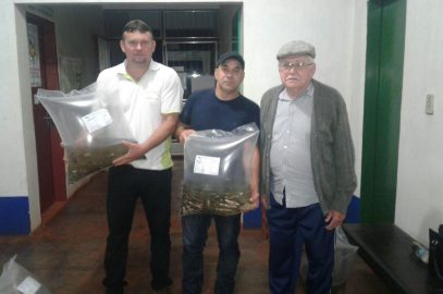 SMA realiza entrega de alevinos aos produtores rurais