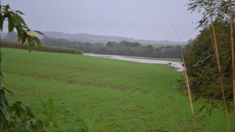Rios transbordaram e inundaram plantações.