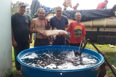 Feira comercializa 500 kg de peixe vivo