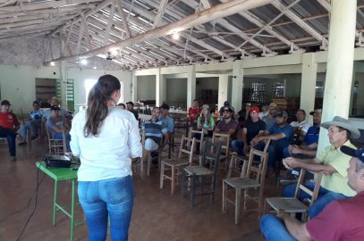 Dia de Campo apresenta alternativas e iniciativas para agricultores de Chiapetta