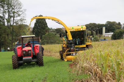 Ensiladeira Autopropelida realiza os primeiros serviços de colheita de silagem